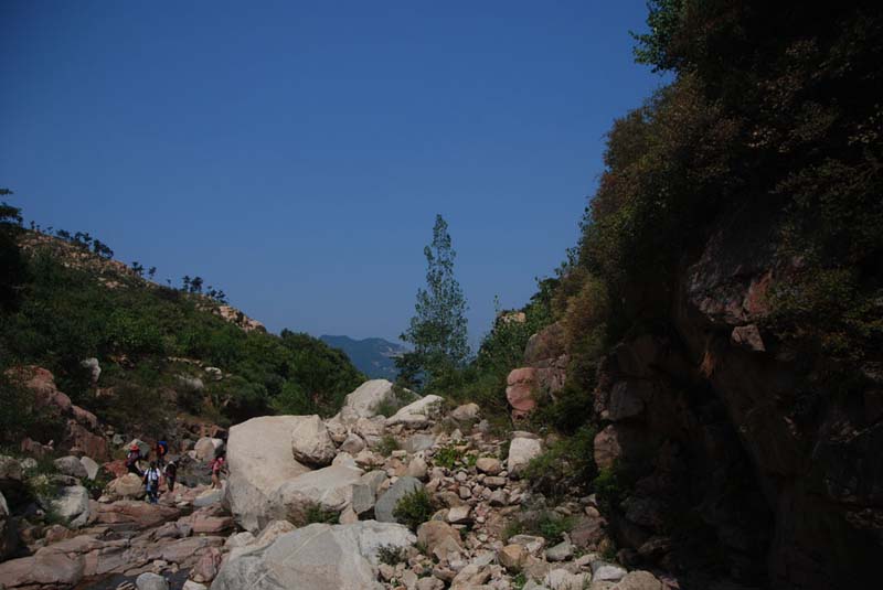 dsc_0869.jpg