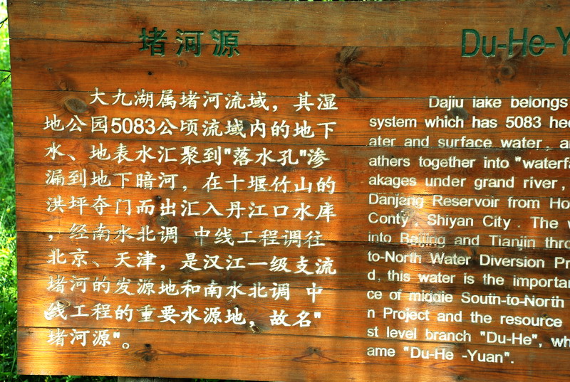 dsc_1120.jpg