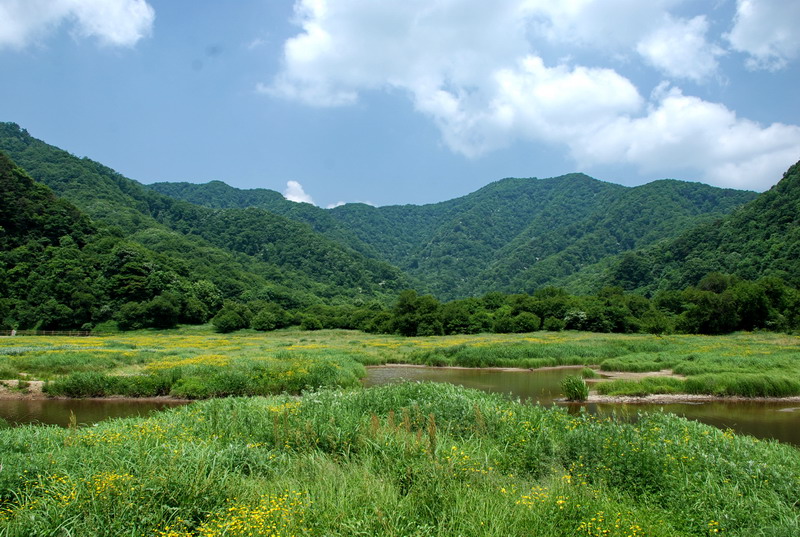 dsc_1140.jpg