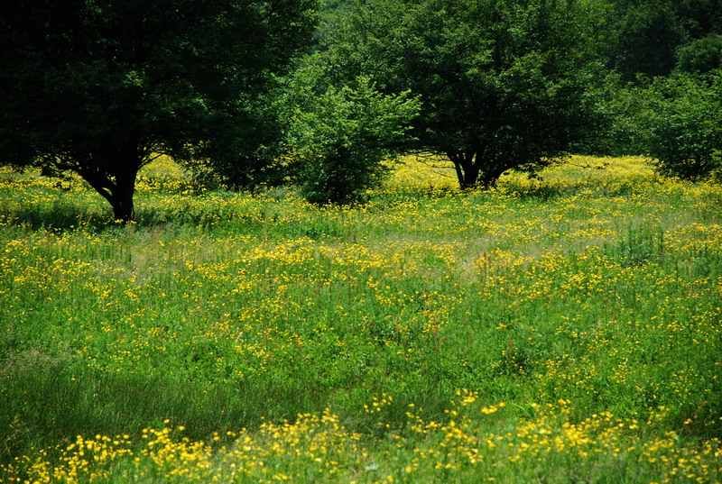 dsc_1159.jpg