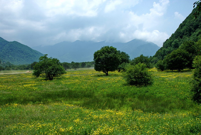 dsc_1167.jpg