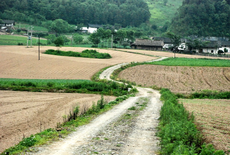 dsc_1342.jpg