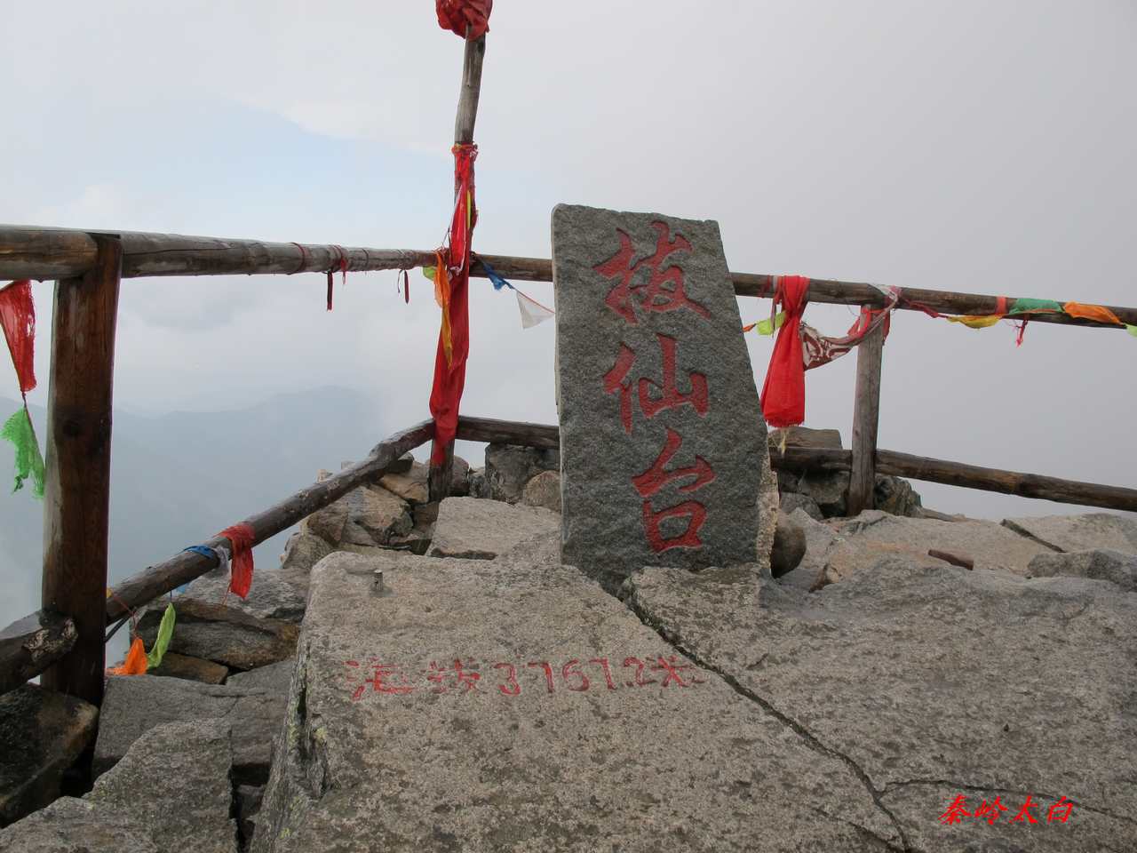a8.jpg