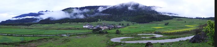 dsc07594.jpg