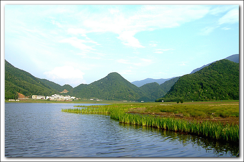 dscf6648ay.jpg