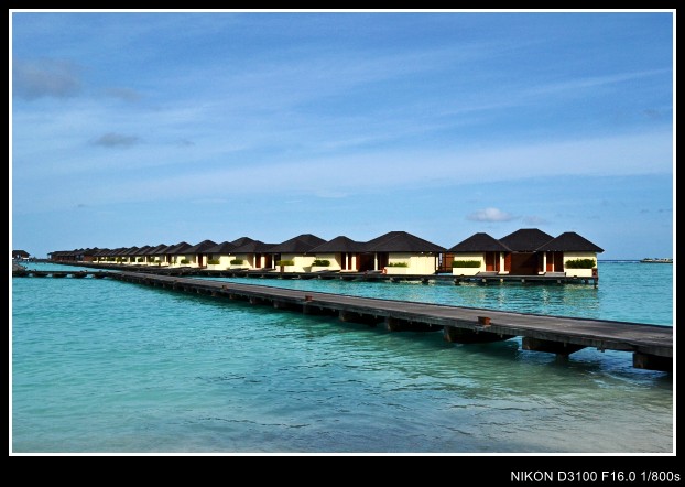 abc 078_conew1.jpg