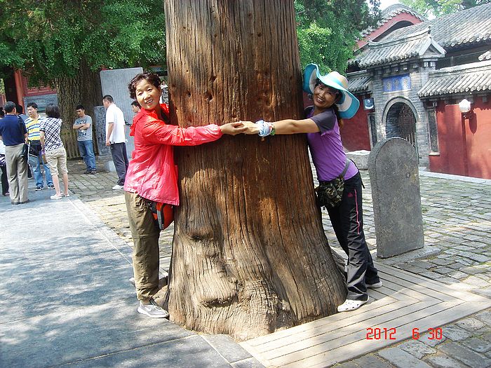 neo_img_dsc08593.jpg