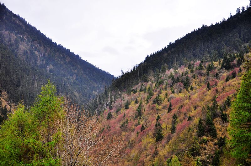 dsc_1806.jpg
