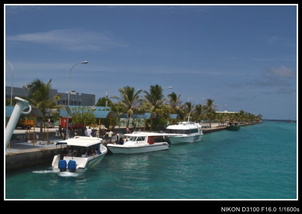 abc 043_conew1.jpg