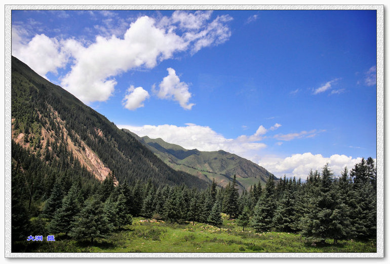 dsc_0897.jpg