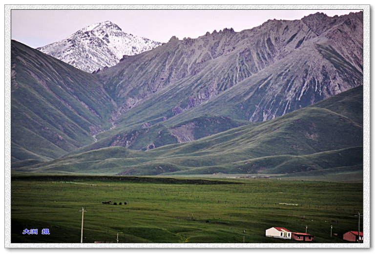 dsc_0697.jpg