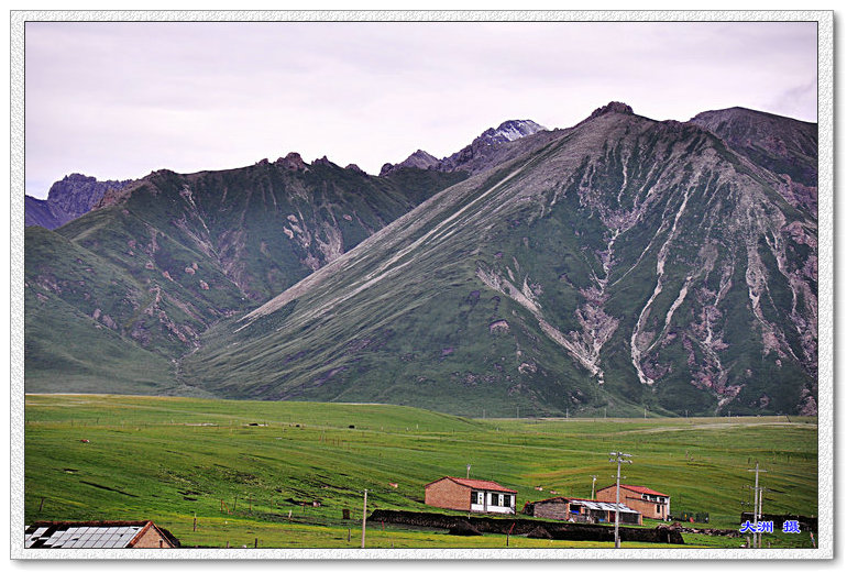 dsc_0698.jpg