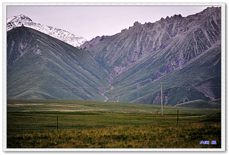 dsc_0699.jpg