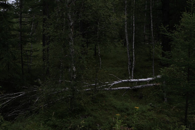 17.jpg
