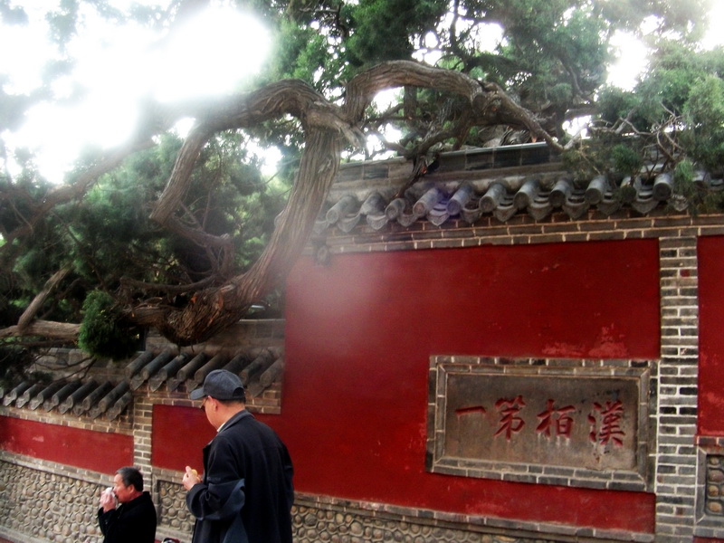dscf0666.jpg