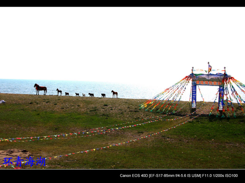 img_3710.jpg