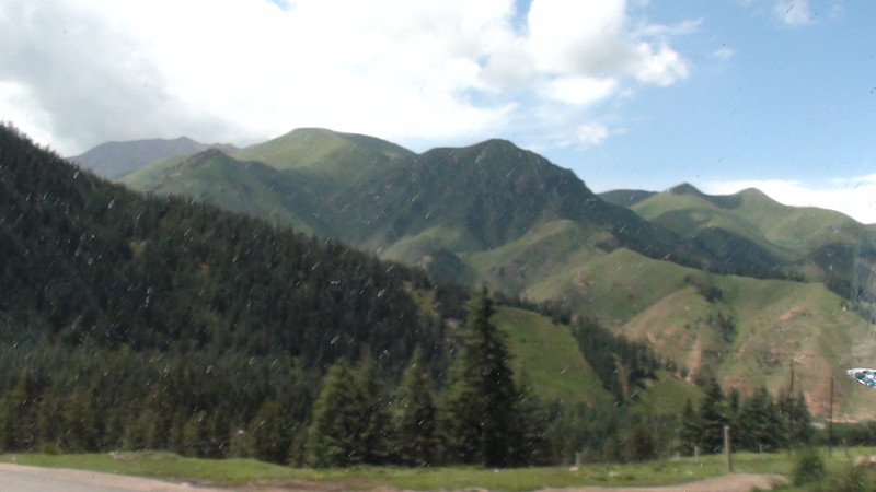dsc00397_.jpg