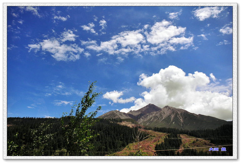 dsc_0915.jpg