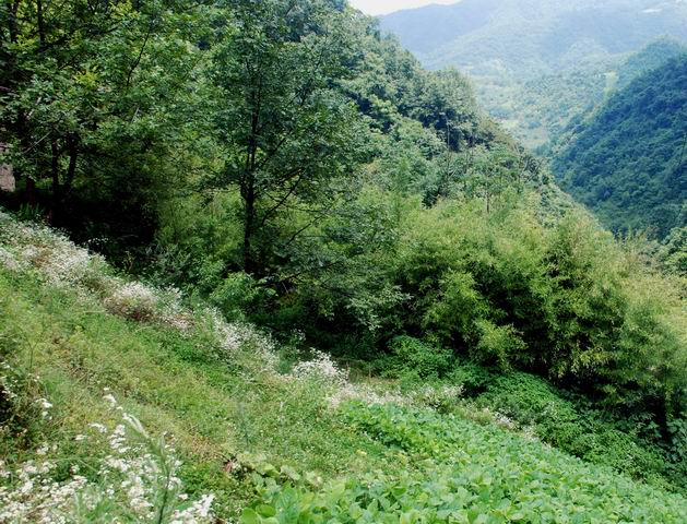 С dsc_0260.jpg