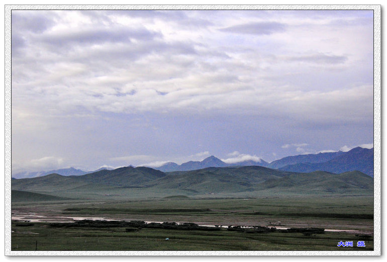 dsc_1234.jpg