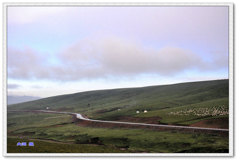 dsc_1264.jpg