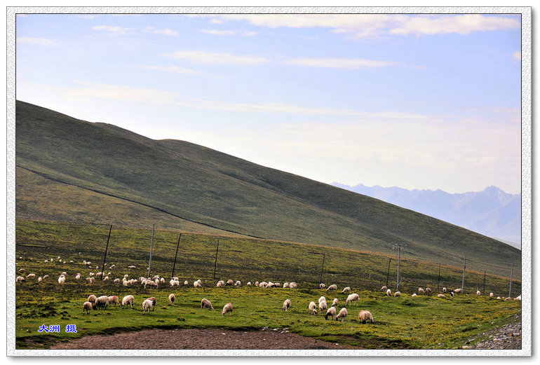 dsc_1269.jpg
