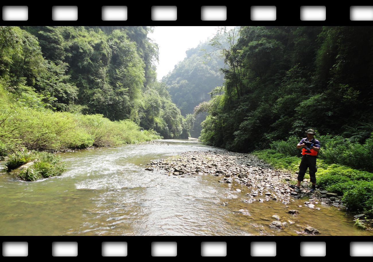 neo_img_dsc08752.jpg