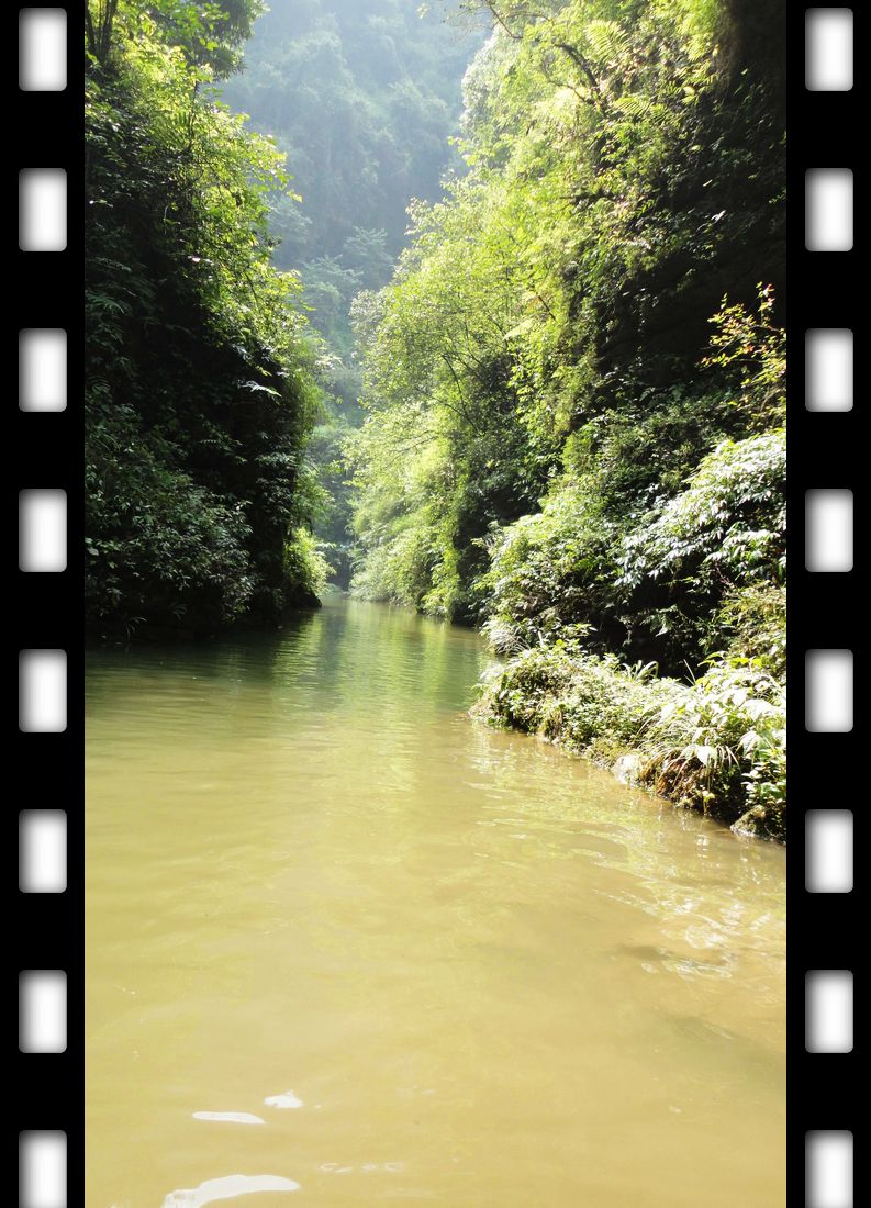 neo_img_dsc08759.jpg