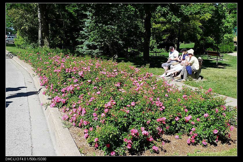 p1130791_neo_img.jpg