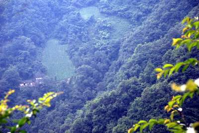 dsc_0287.jpg