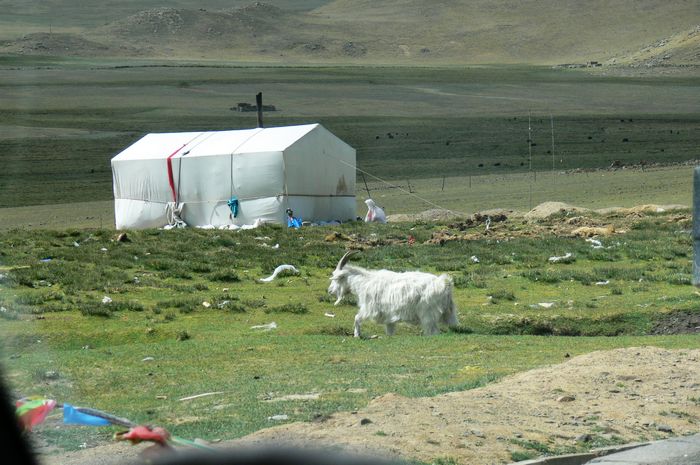 p1220497.jpg