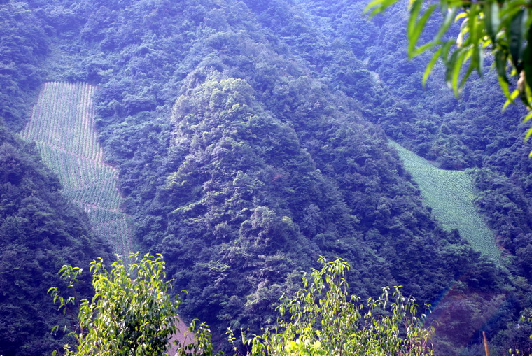 dsc_0291.jpg