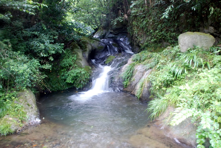 dsc_0300.jpg