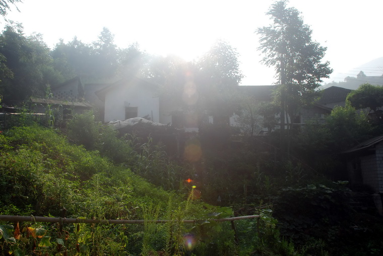 dsc_0325.jpg