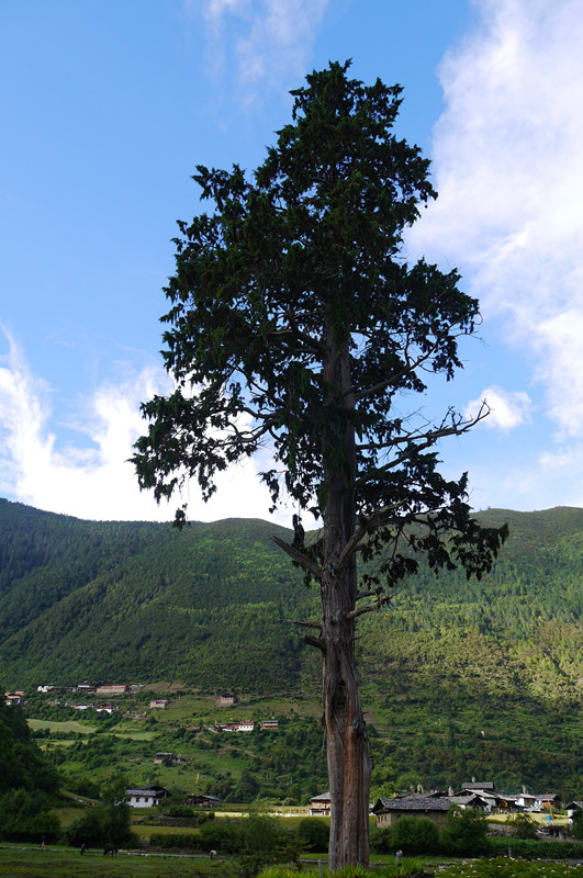p1050320_.jpg