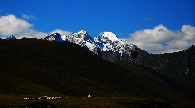 dsc_5201.jpg