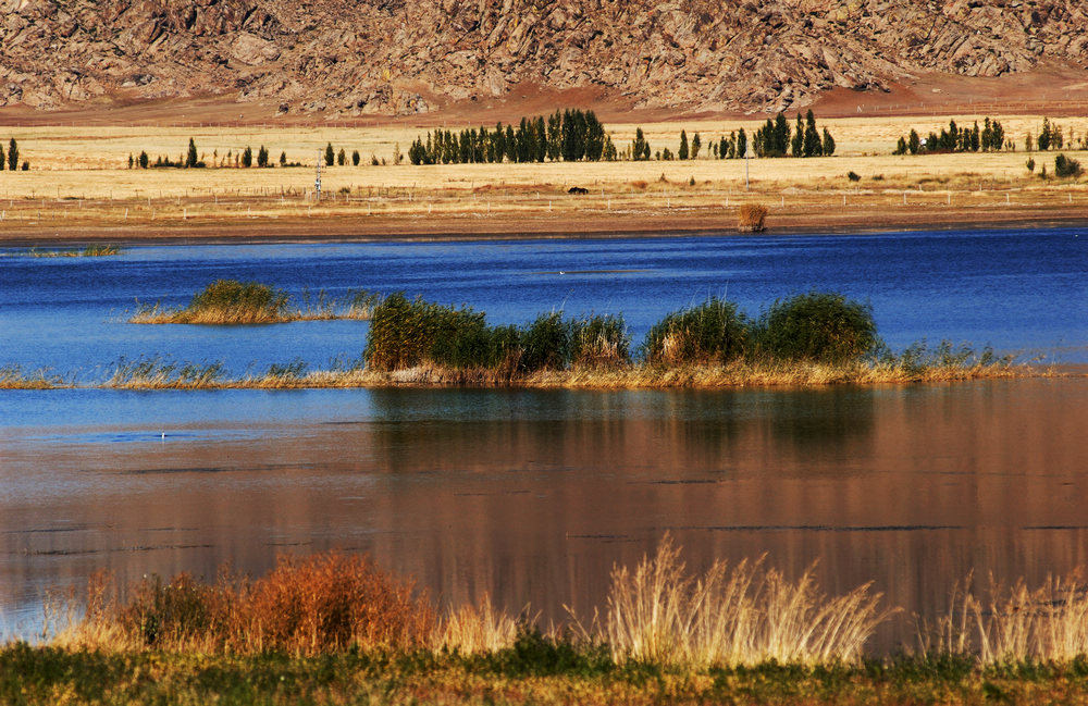 xinjiang (60).jpg