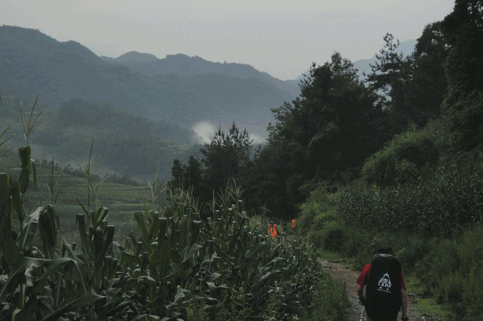 dsc00223.gif