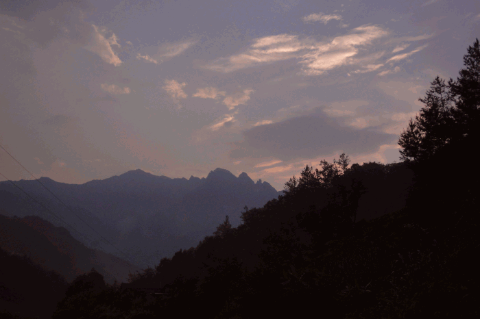 dsc00230.gif