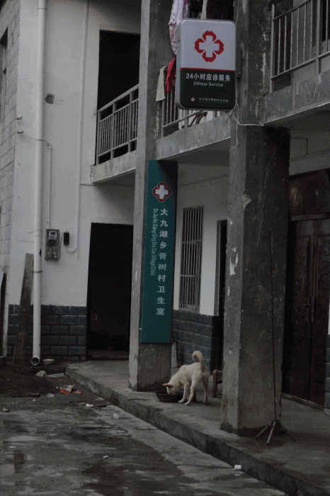 dsc00237.gif