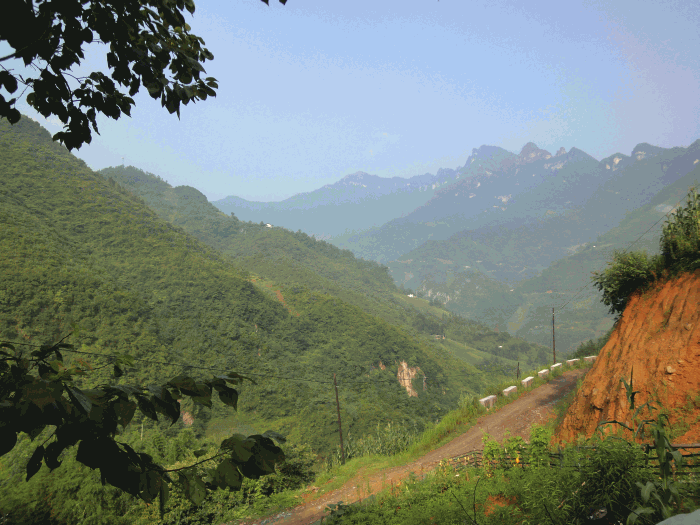 dsc00244.gif