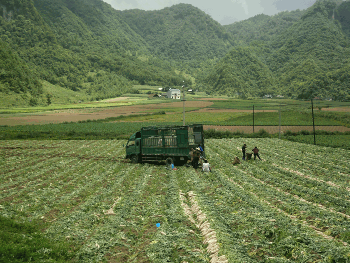 dsc00254.gif