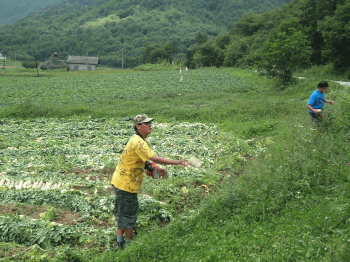 dsc00256.gif