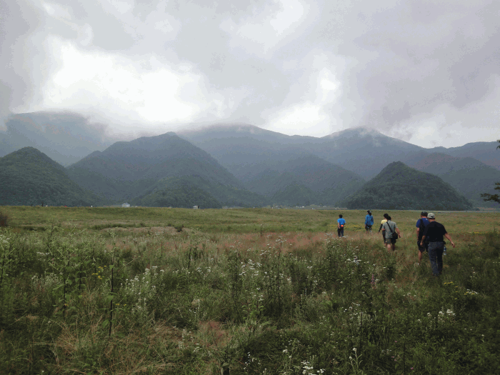 dsc00262.gif