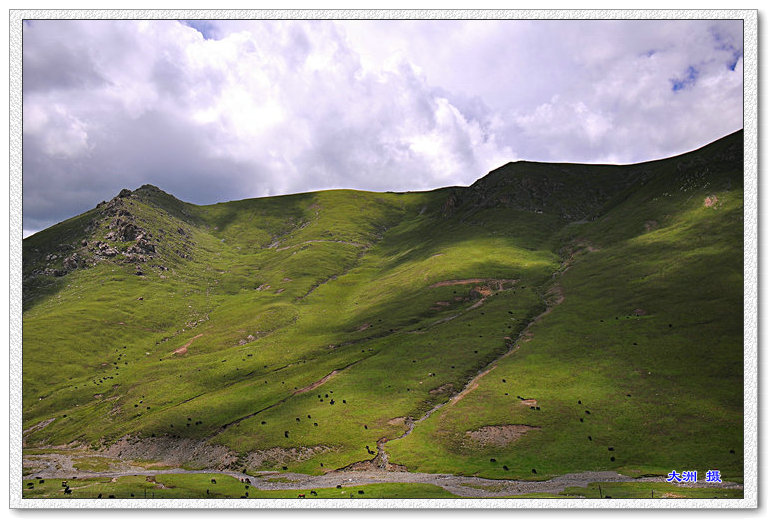 dsc_1530.jpg