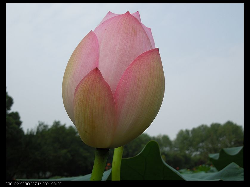 dscn1199.jpg