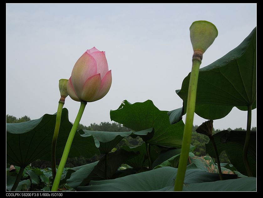 dscn1206.jpg