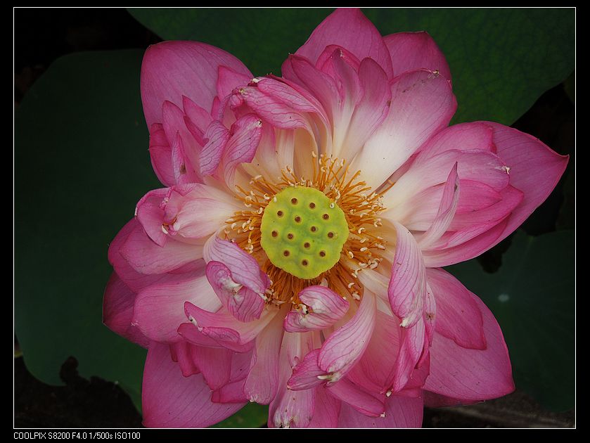 dscn1208.jpg