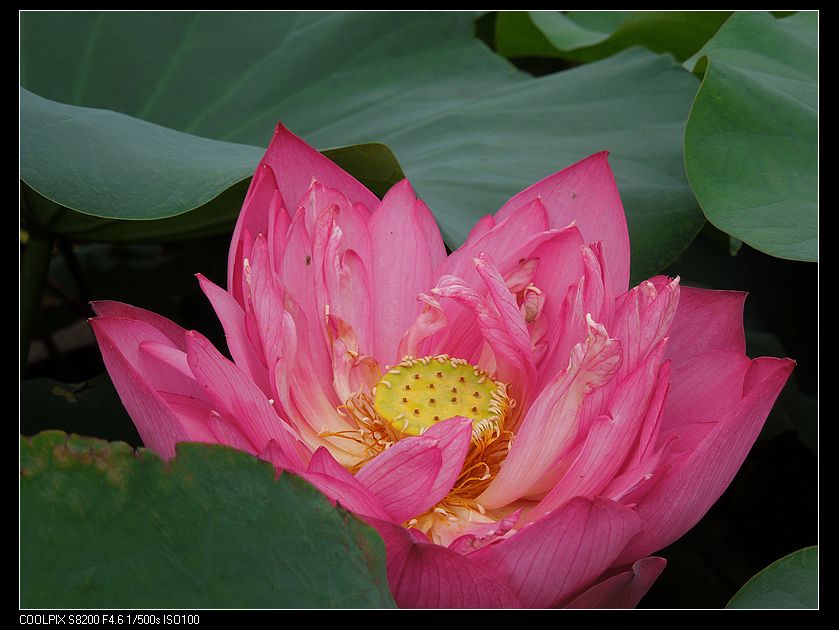 dscn1240.jpg
