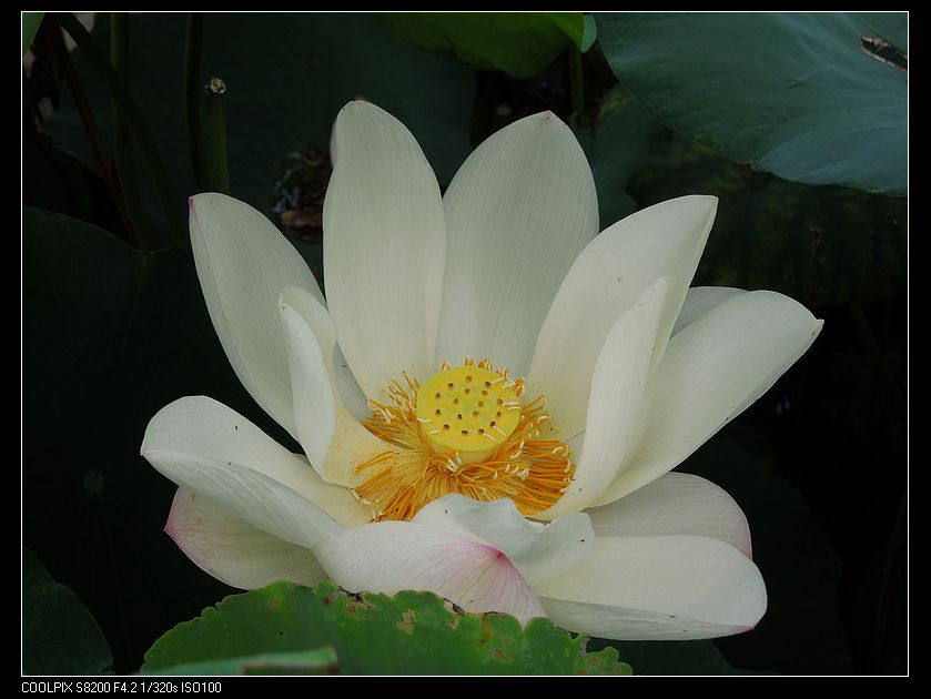dscn1202.jpg
